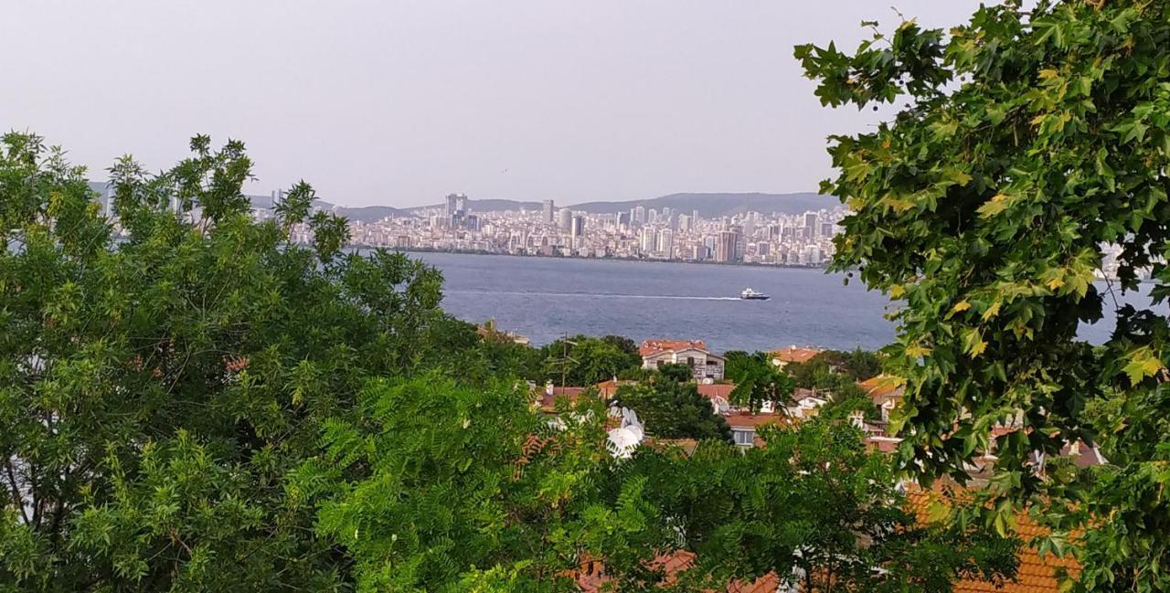 Bueyuekada Anastasia Meziki History Mansion Adalar Exterior foto